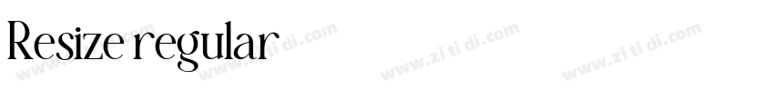 Resize regular字体转换